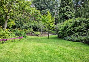 Optimiser l'expérience du jardin à Bellancourt